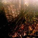 hurdle & poles 